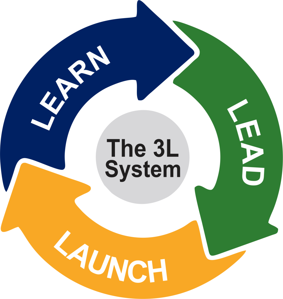 the 3 l system1